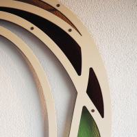 Walking stick - Diesbachia tamyris